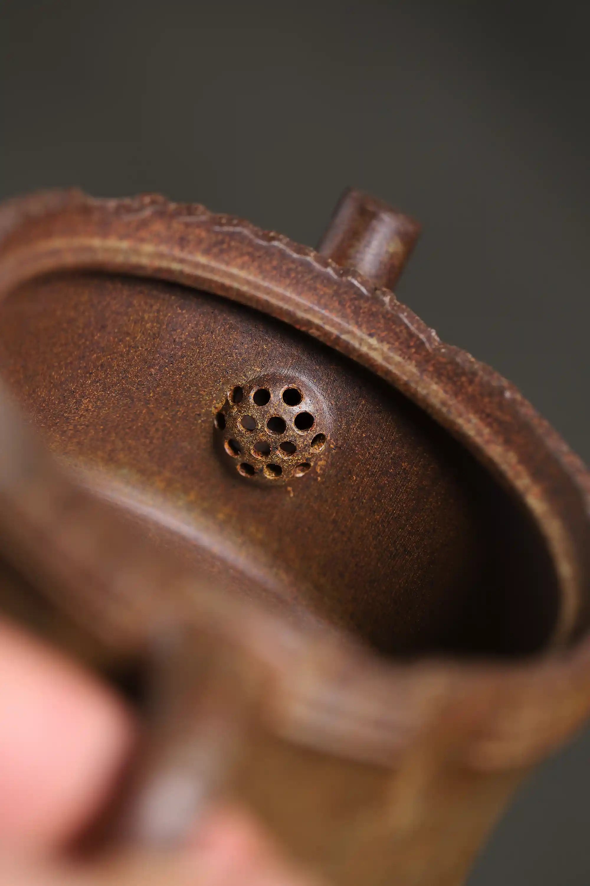 Yixing Zisha Handmade Cicada Bamboo Tube Teapot
